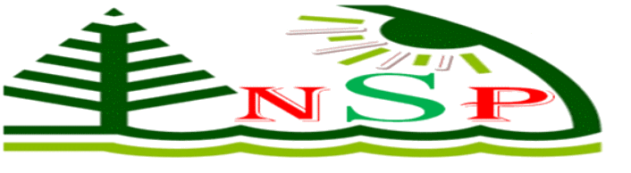 NSP Logo.png